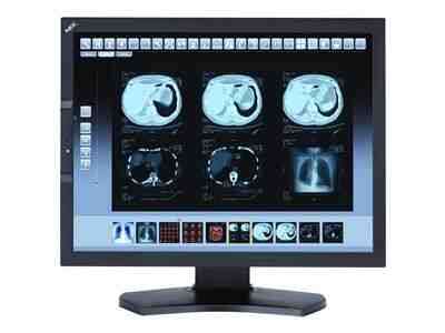 NEC MultiSync MD211C3 