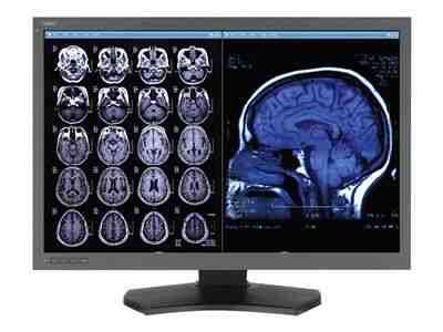 NEC MultiSync MD302C6-N1 