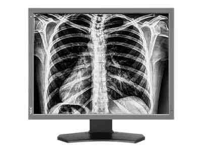 NEC MultiSync MD212G3 