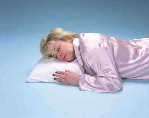 Buckwheat Sleeping Pillow 16  x 20