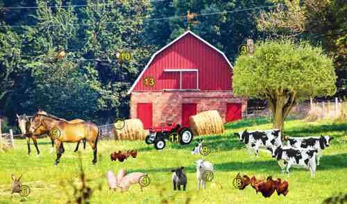 Gel - Foam Recognition Pad Farm Scene
